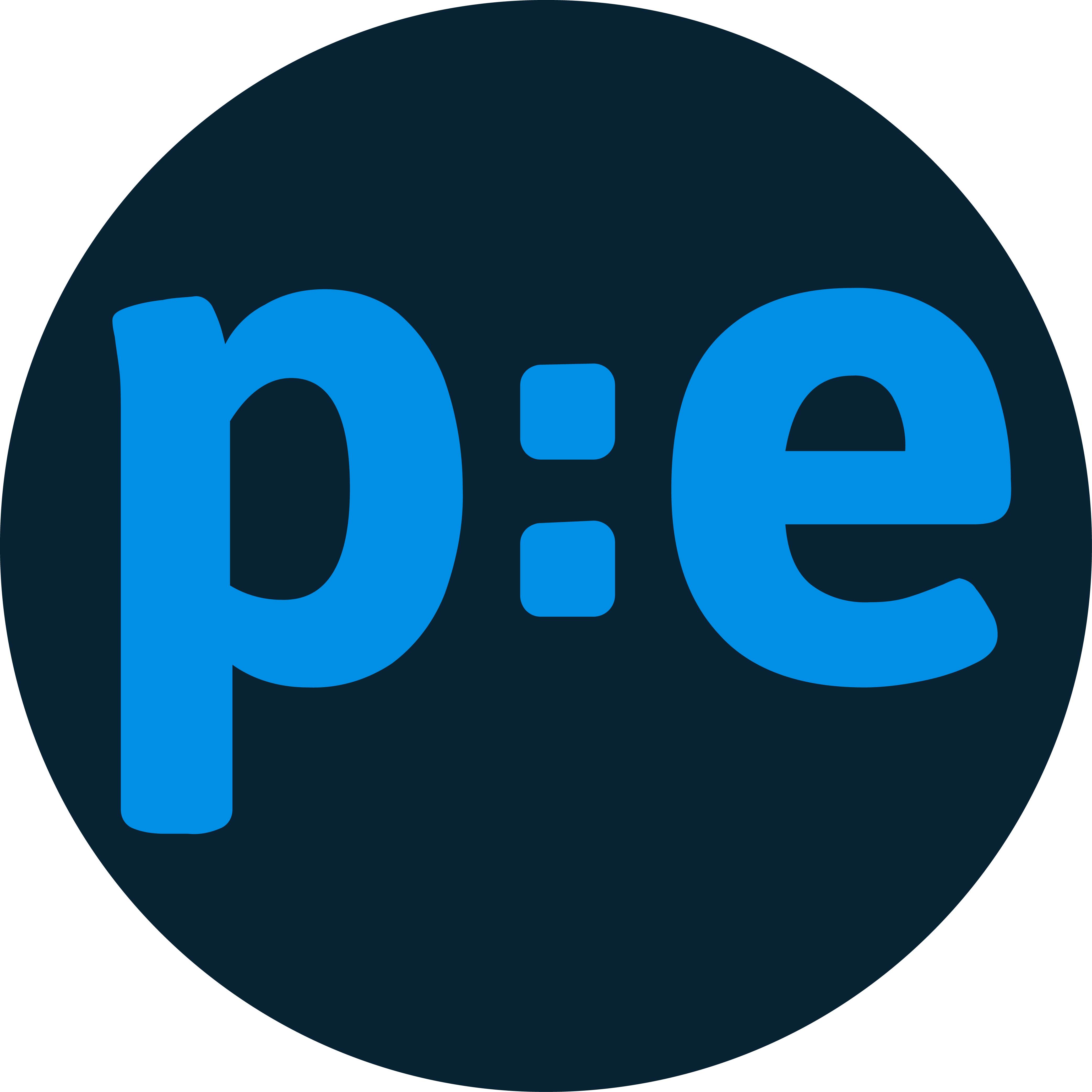 Company logo for PE Accounting